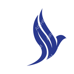 Aero Nomad Airlines Circular logo