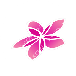 Air Rarotonga Circular logo