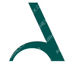 Amelia International Circular logo