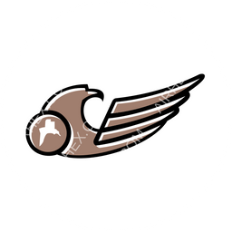 Basra Airlines Circular logo