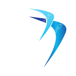 Blue Air Circular logo
