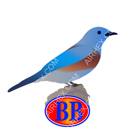 Bluebird Aviation Circular logo
