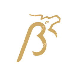 Buraq Air Circular logo