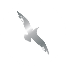 Cape Air Circular logo