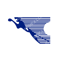 Congo Airways Circular logo