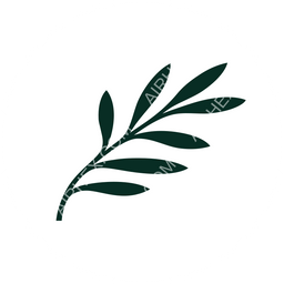 Cyprus Airways Circular logo