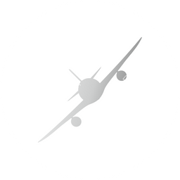 Fly Art Circular logo
