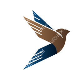 FlyDamas Circular logo