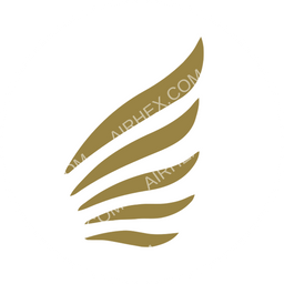 FlyVLM circular logo