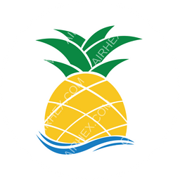 Pineapple Air Circular logo
