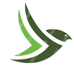 Renegade Air Circular logo