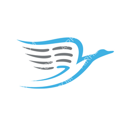 Rise Air Circular logo