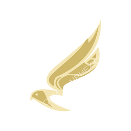 Shaheen Air Circular logo