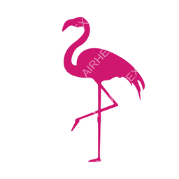 Silver Airways Circular logo