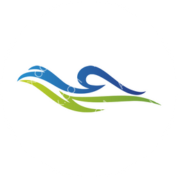 Sky Angkor Airlines Circular logo