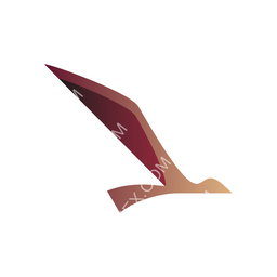 Skytrans Australia Circular logo