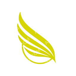 SkyWork Airlines circular logo