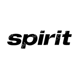 Spirit Airlines Circular logo
