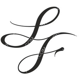 StarFlyer Circular logo