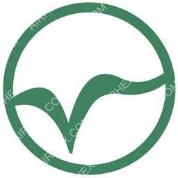 STP Airways Circular logo