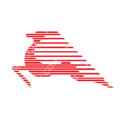 Tunisair Express circular logo