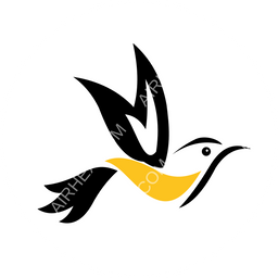 Turpial Airlines Circular logo