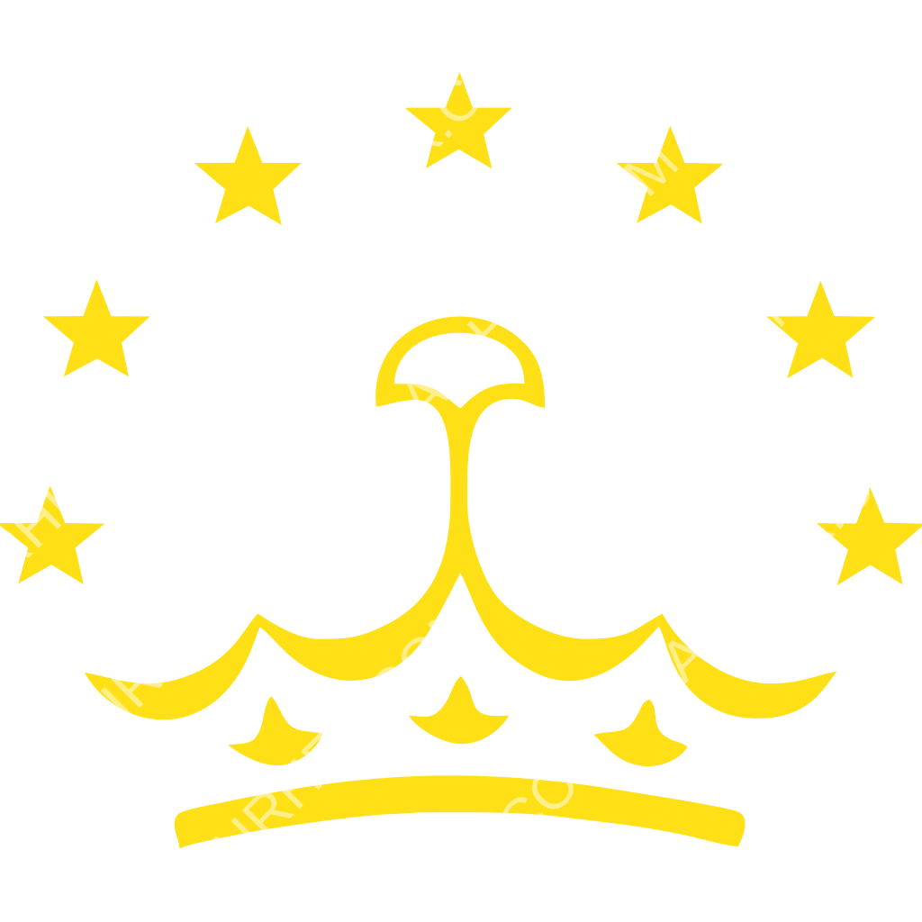 Somon Air logo