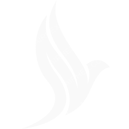 Aero Nomad Airlines Symbol logo (dark)