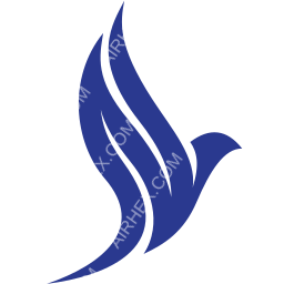 Aero Nomad Airlines Symbol logo