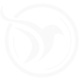 African Express Airways Symbol logo (dark)