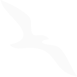 Air Arabia Dammam Symbol logo (dark)