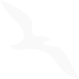 Air Arabia Symbol logo (dark)