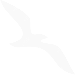 Air Arabia Egypt Symbol logo (dark)