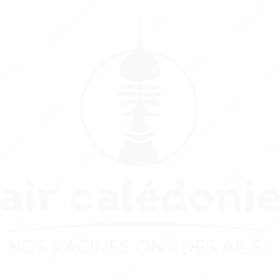 Air Caledonie Symbol logo (dark)