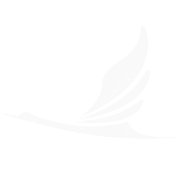 Air Koryo Symbol logo (dark)