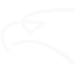 Air Montenegro Symbol logo (dark)