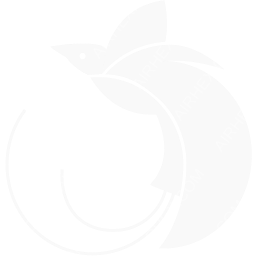 Air Niugini Symbol logo (dark)