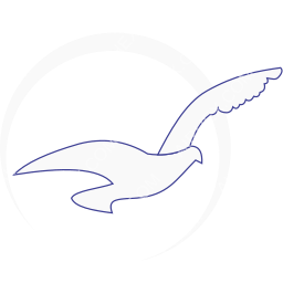 Air Peace Symbol logo (dark)