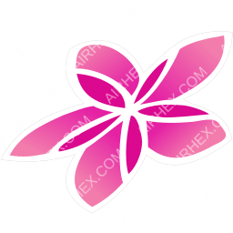 Air Rarotonga Symbol logo