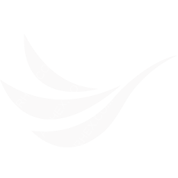 AirBorneo Symbol logo (dark)