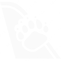 Bearskin Airlines Symbol logo (dark)