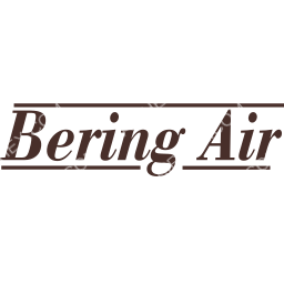 Bering Air Symbol logo