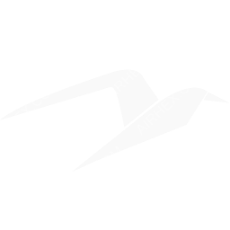 Cabo Flight Center Symbol logo (dark)