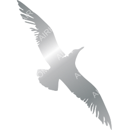 Cape Air Symbol logo (dark)