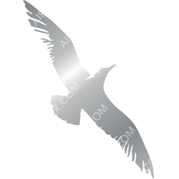 Cape Air Symbol logo