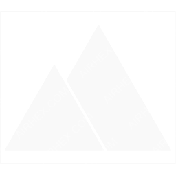 Carpatair Symbol logo (dark)