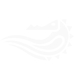 Chabahar Airlines Symbol logo (dark)