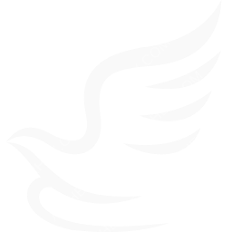 China Express Airlines Symbol logo (dark)