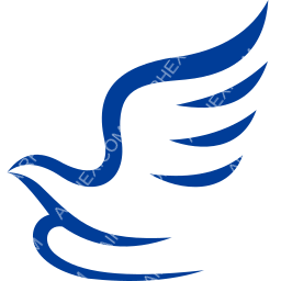 China Express Airlines Symbol logo