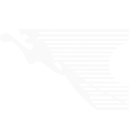 Congo Airways Symbol logo (dark)